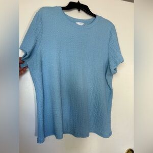 Time and Tru Light Blue Textured Short Sleeve Top